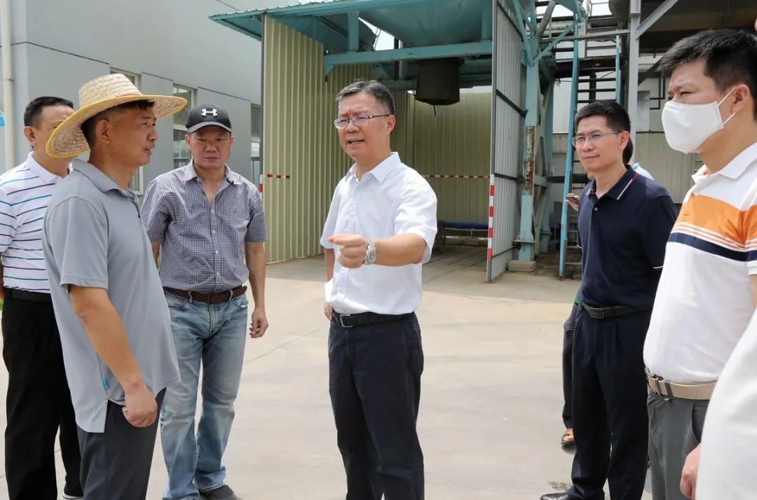 綠潤(rùn)新聞 | 金灣區(qū)委書(shū)記帶隊(duì)考察，三灶項(xiàng)目再獲認(rèn)可